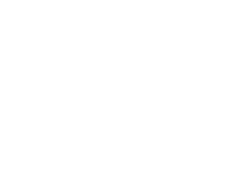 Savoia Italia